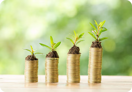 Growing your wealth